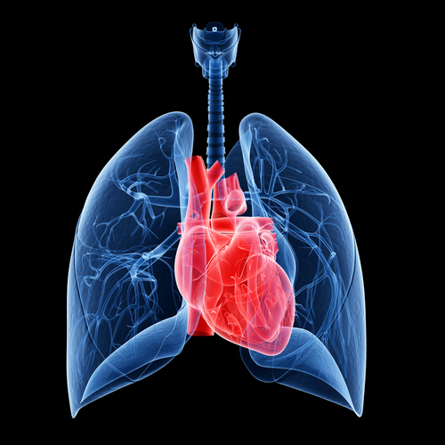 heart test 3d Has Tuberculosis of Contributed Cystic to Rates the Global