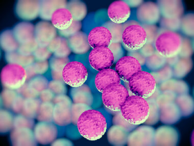 Staphylococcus Aureus