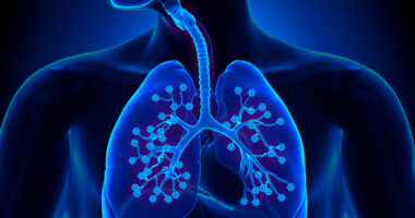 Endogenous Lung Stem Cells and CF