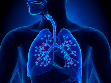 Endogenous Lung Stem Cells and CF