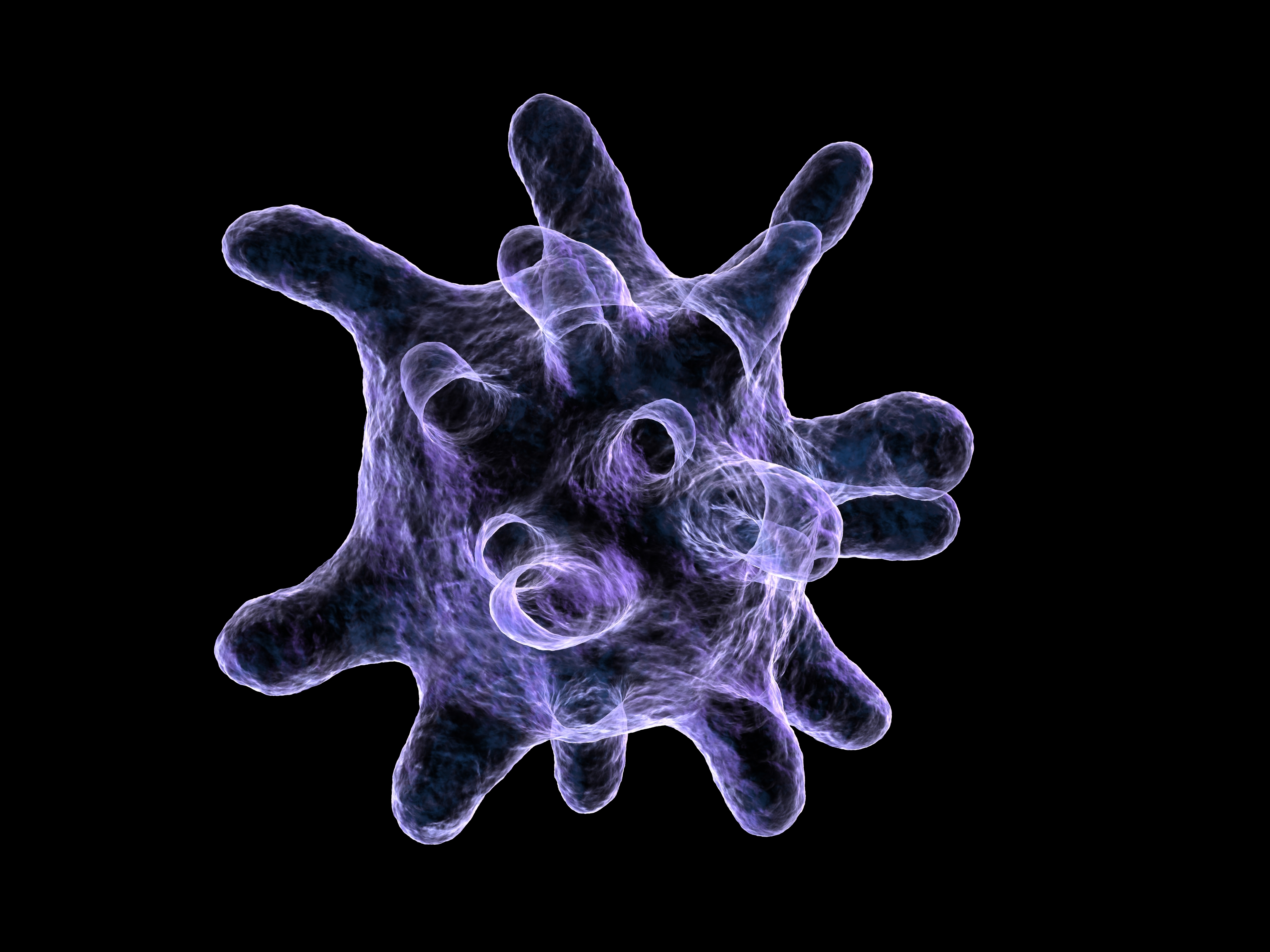 CF airway inflammation