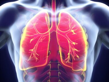 transplant research, funding