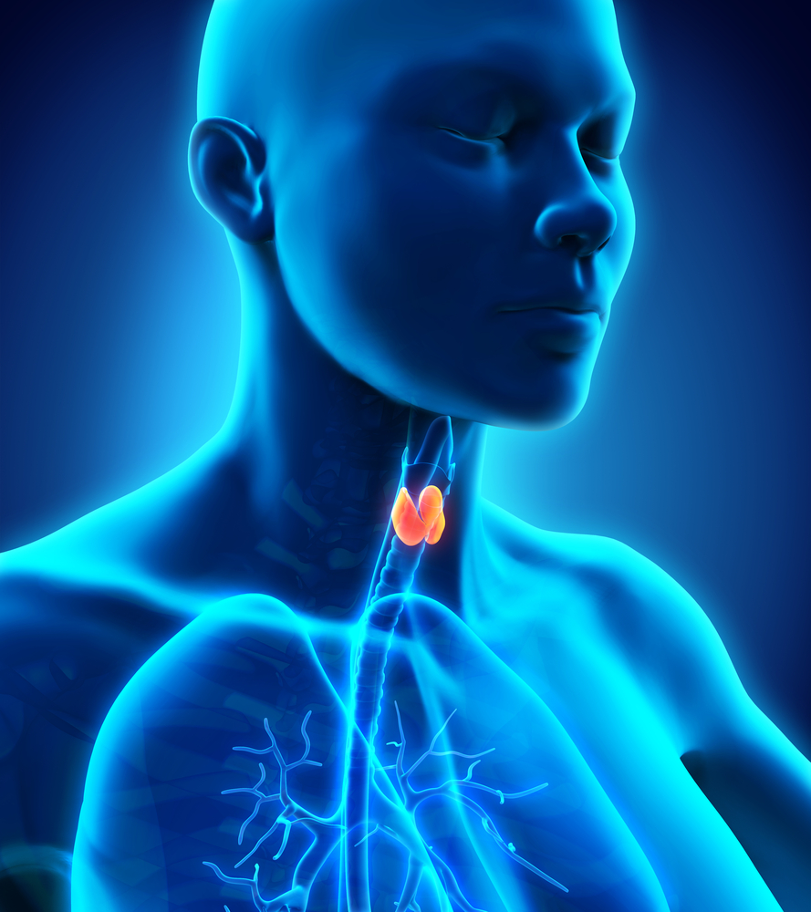 Thyroid gland problems