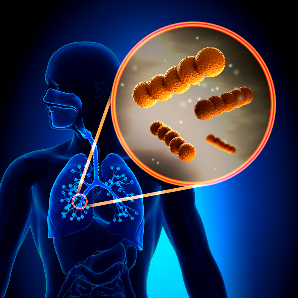 fermentative bacteria in CF