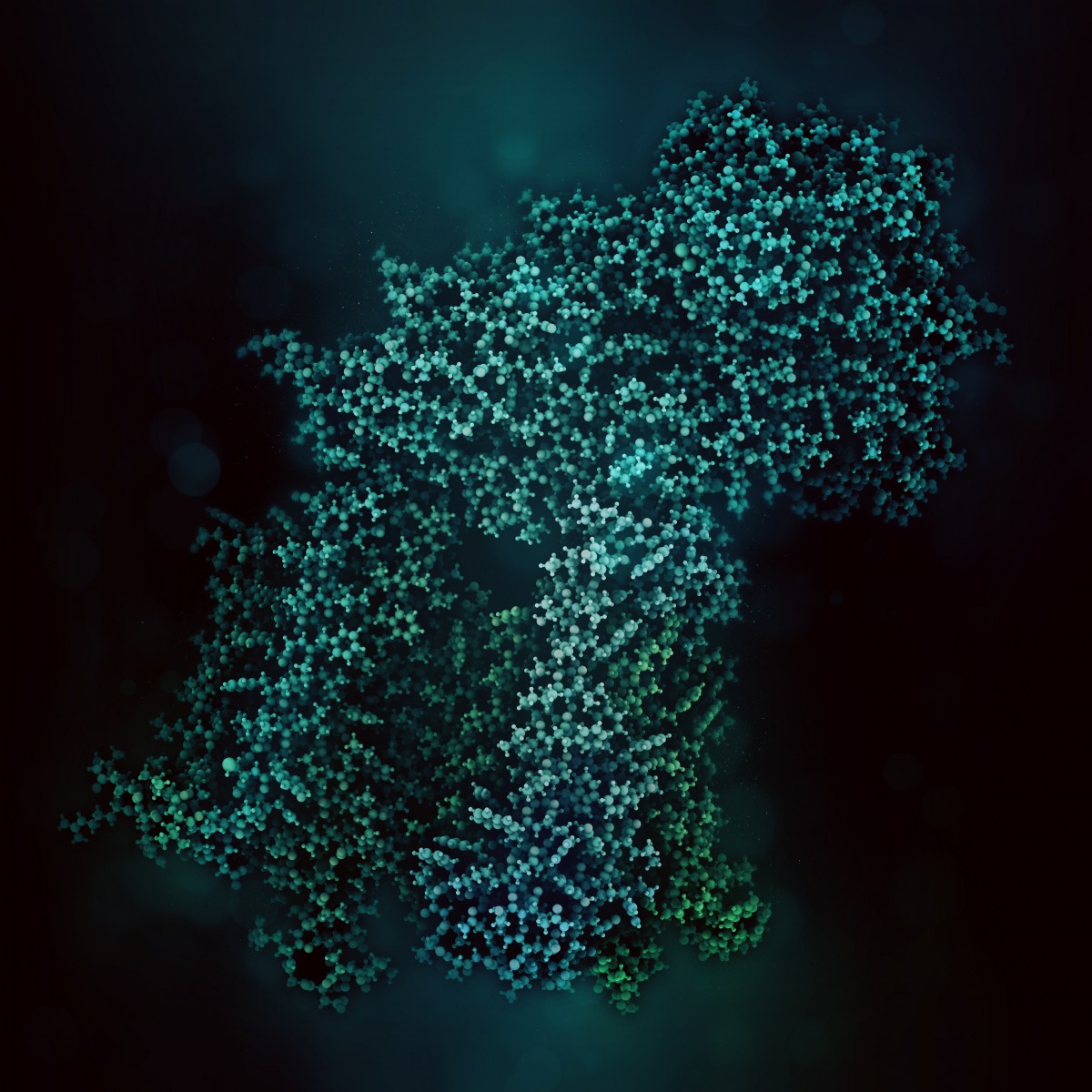 3-D of CF Protein