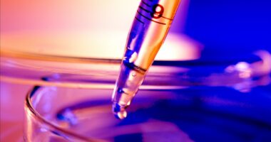 cf preclinical study