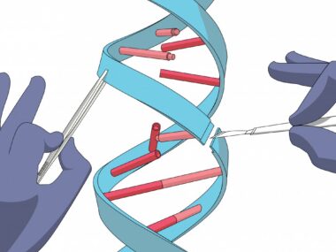 Gene editing research