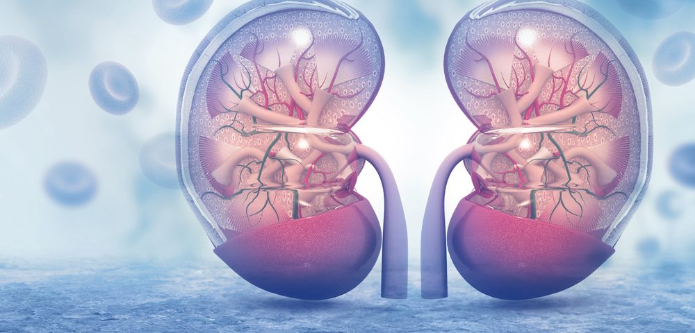 CF Patients' Kidneys Not Harmed by Once-daily Tobramycin Treatment