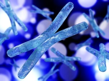 genetic screening test