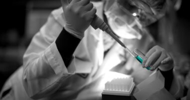 CF bacteria therapy trial