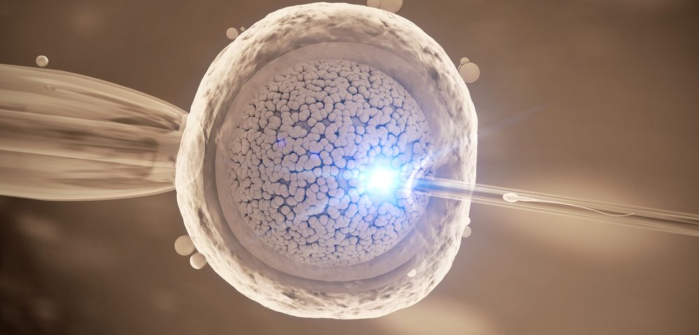 Gene-Editing Strategy Corrects Genetic Error in Human Embryos