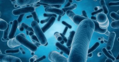 Phase 2 CF therapy trial