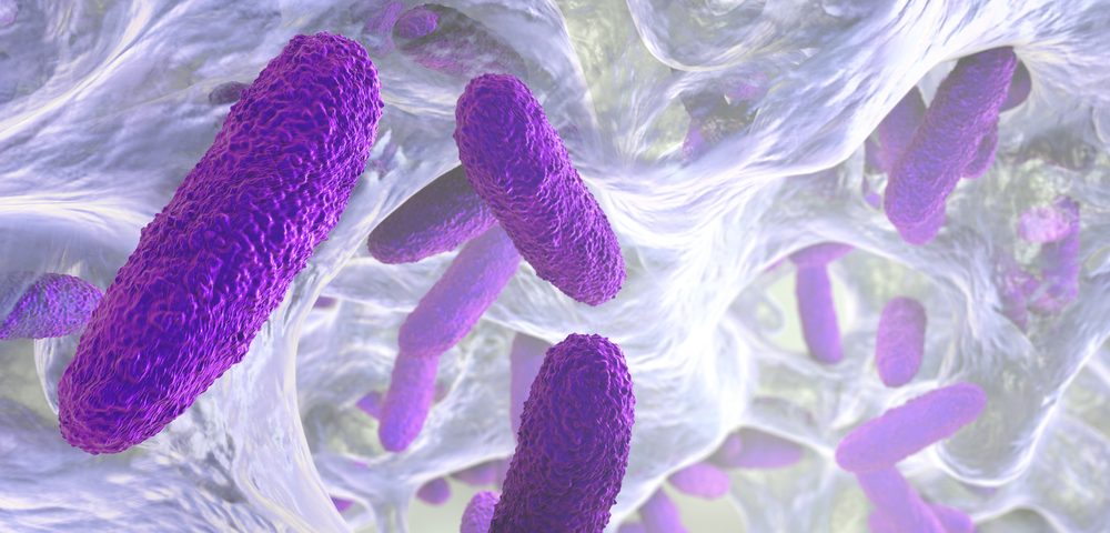 cf-lung-infection-discovery-could-lead-to-way-to-counter-bacteria