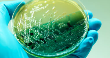 Recida Therapeutics