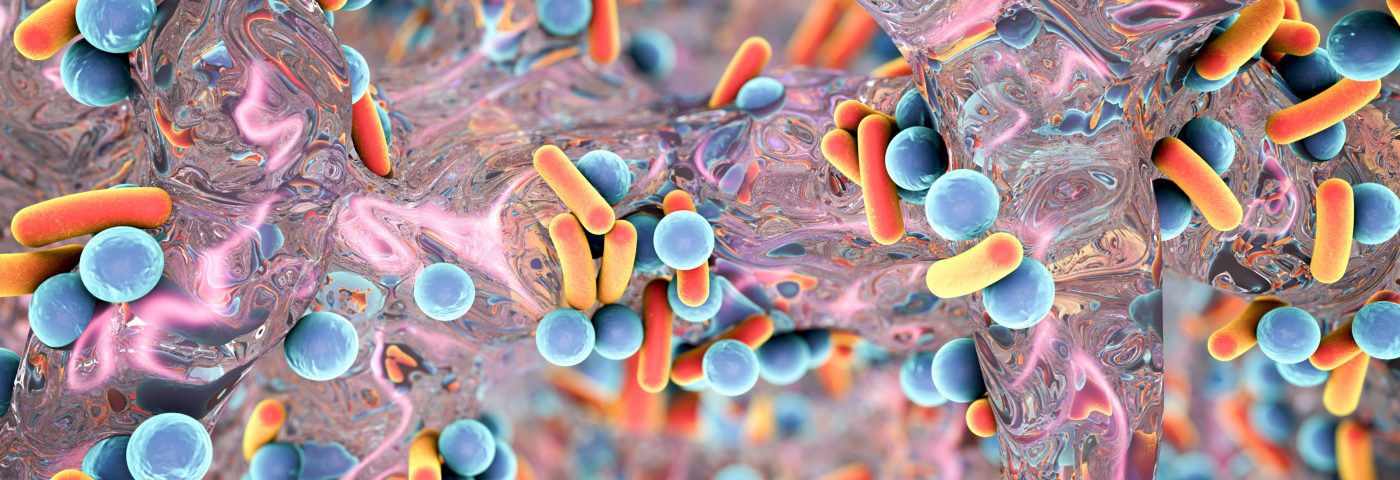 CF Study Shows Bacteria Can Pass Memory of Biofilm Formation to Descendants