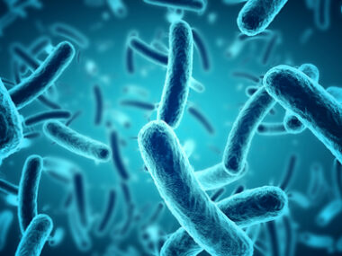 lung infections