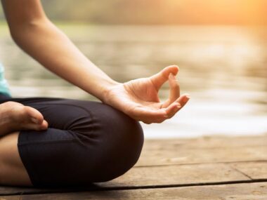 yogi