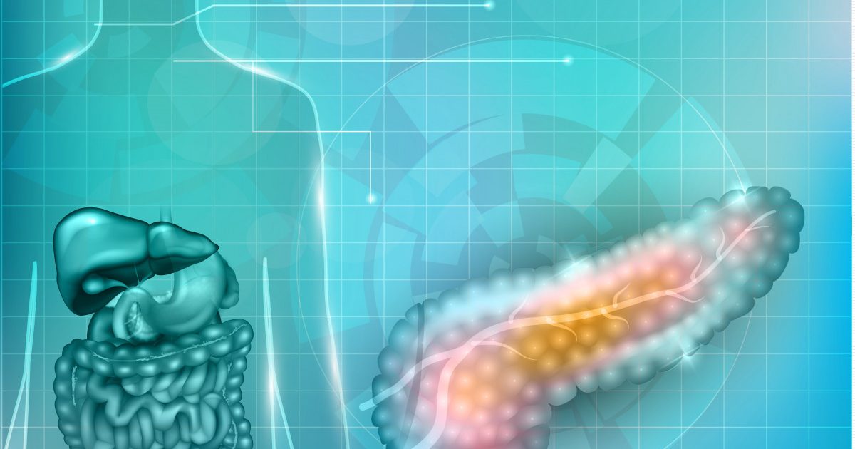 Research on Pancreatic Ducts
