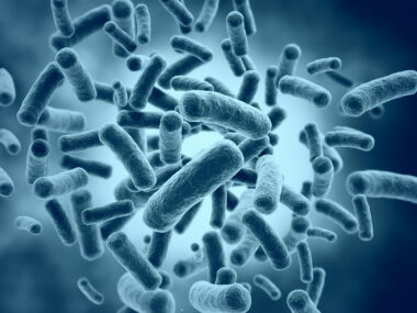 researching infections