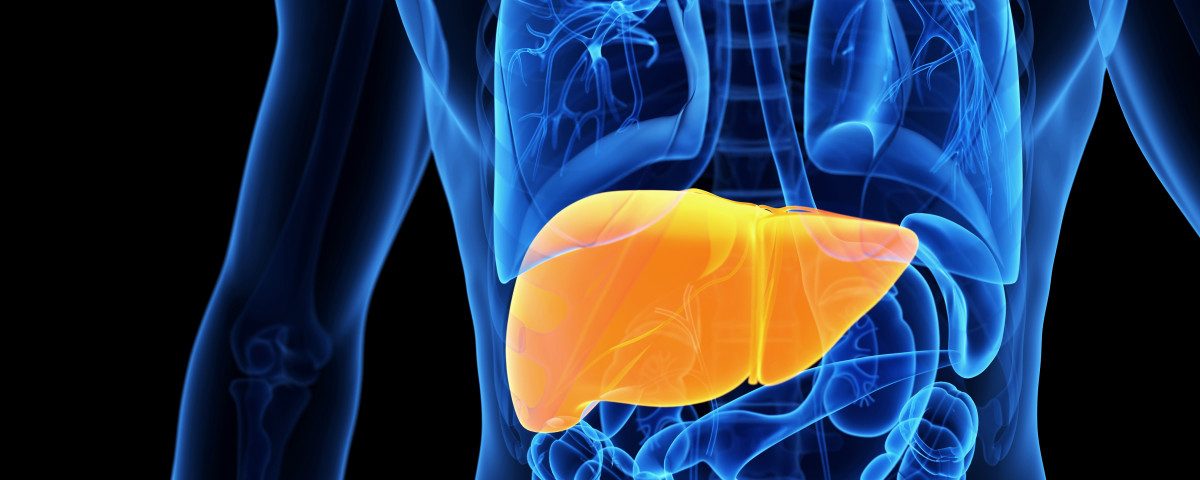 High Liver Enzyme Levels Linked to Risk of CF-Related Diabetes, Especially in Men, Study Finds