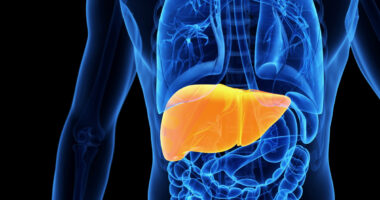 enzyme maker of liver damage