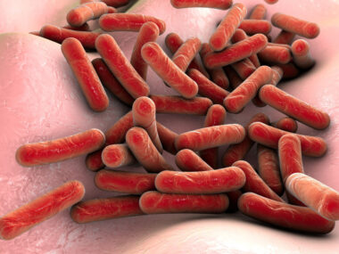 Kalydeco and gut bacteria