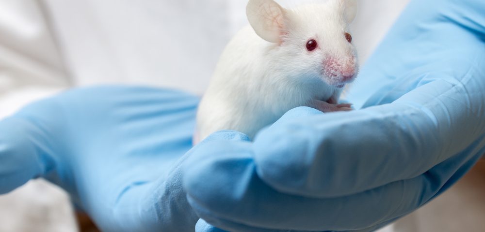 Mutation in CFTR Gene Affects the Bodyâ€™s Inner Clock, Mouse Study Suggests