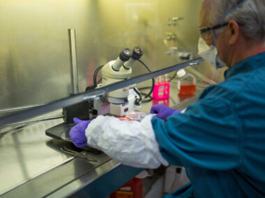 Vertex lung dissection lab