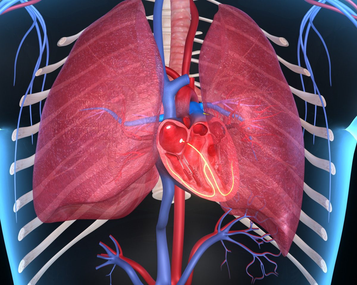 Enlarged Pulmonary Artery Predicts Ph And Lower Survival In Severe Cf