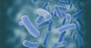 M. abscessus and antibiotics