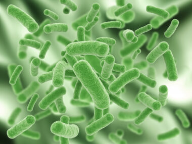 CSA-131 and bacteria