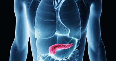 ultrasound imaging technique may help diagnose EPI/Cystic Fibrosis News Today/pancreas ultrasound image