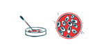 F508del | Cystic Fibrosis News Today | illustration of petri dish with cells