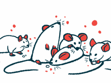 A handful of mice are pictured clustered together.