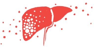 An illustration shows the human liver.