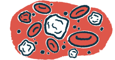 An illustration showing red and white blood cells.