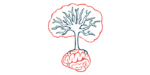 In this illustration of brain growth, a tree is seen growing from the top of a human brain.