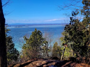 A breathtaking nature photo shows the tops of trees from a high altitude, looking down on a large, glimmering blue body of water that stretches to the horizon, where it seamlessly blends into the blue, almost cloudless sky. 